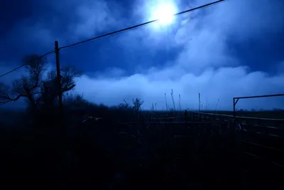 DSC_1003 (Large).JPG